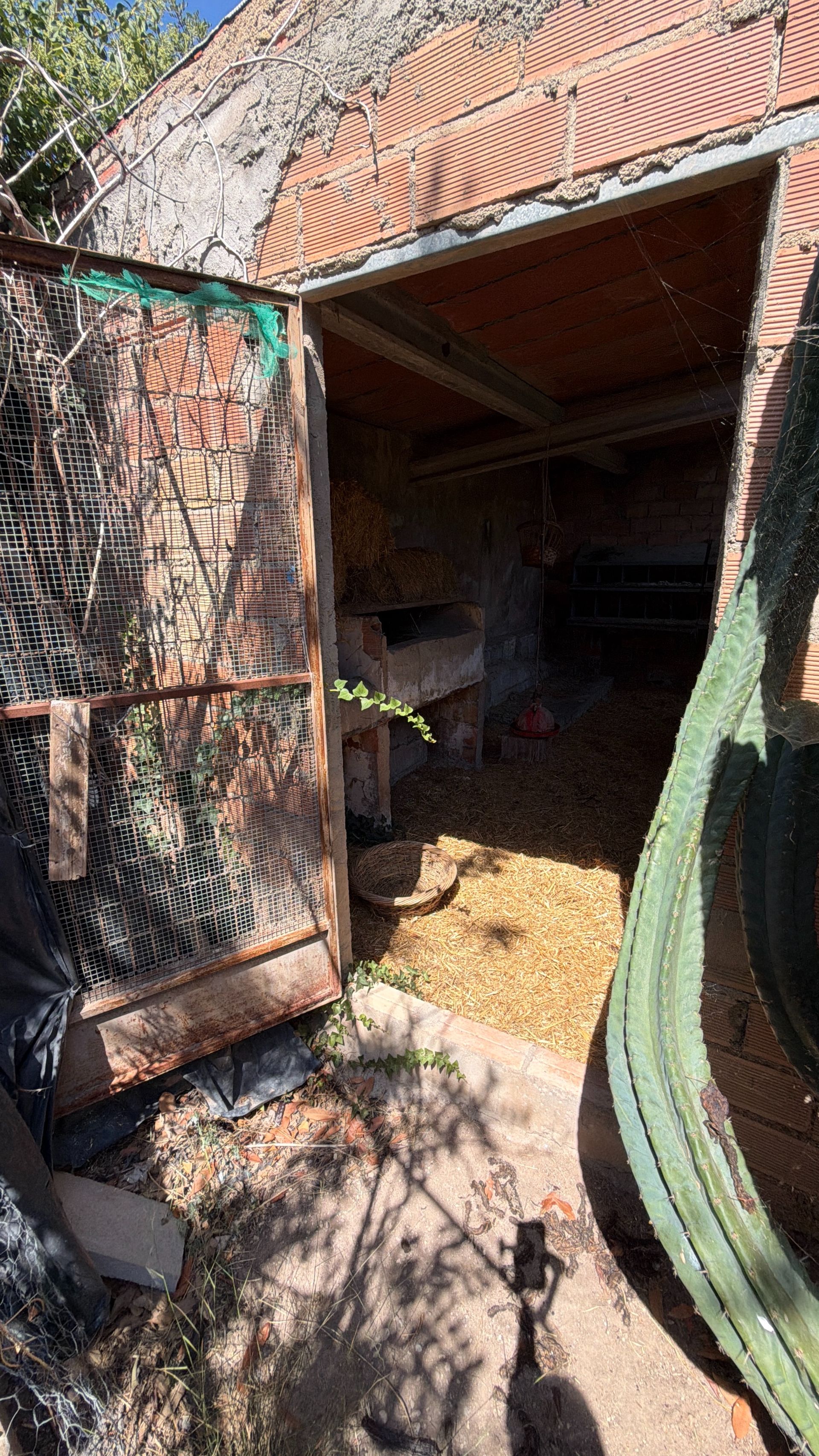 ++ Finca rustical en Vandellos ++ - Image 15